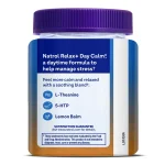 Natrol-Mood-Stress-Relax-Day-Calm-Gummies-for-Adults-Tropical-Fruit-Punch-60-Count-10 Natrol-Mood-Stress-Relax-Day-Calm-Gummies-for-Adults-Tropical-Fruit-Punch-60-Count-10