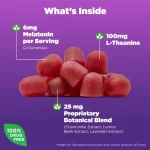 Natrol-Sleep-Calm-Melatonin-Gummies-for-Adults-Strawberry-Flavor-60-Count-3