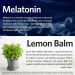 Spring-Valley-Extra-Strength-Melatonin-Tablets-Dietary-Supplement-Value-Size-10-mg-7 Spring-Valley-Extra-Strength-Melatonin-Tablets-Dietary-Supplement-Value-Size-10-mg-7