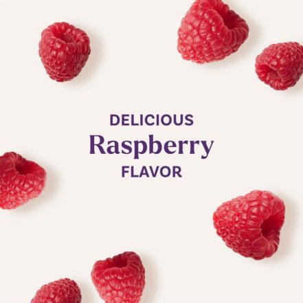 Natrol Kids Sleep Gummies for Children Raspberry Flavor