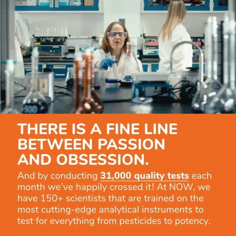 NOW-Supplements-GABA-Gamma-Aminobutyric-Acid-500-mg-B-6-Natural-Neurotransmitter-100-Veg-Capsules-4