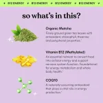 Lemme-Matcha-Superfood-Energy-Gummies-Organic-Matcha-Green-Tea-Vitamin-B12-Antioxidant-4