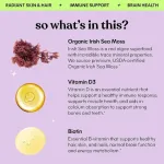 lemme-irish-sea-moss-liquid-organic-vitamin-drops-1-fl-oz-4