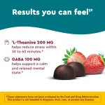 Nature-Made-Wellblends-Stress-Relief-Gummies-Stress-Support-Supplement-40-Count-5