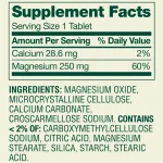 Spring-Valley-Magnesium-Bone-Muscle-Health-Dietary-Supplement-Tablets-250-mg-100-Count-2